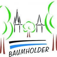 Baumholder.de Logo