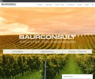 Baurconsult.com(Baurconsult) Screenshot