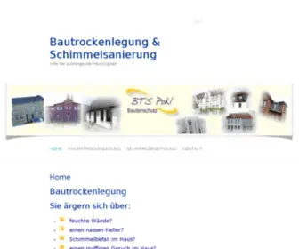 Bautrockenlegung-UND-Schimmelsanierung.de(Bautrockenlegung UND Schimmelsanierung) Screenshot