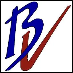 Bavise.ir Logo