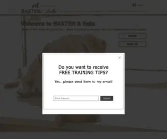 Baxterandbella.com(Baxter & bella) Screenshot