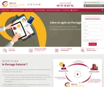Baya-Consulting.com(Baya Consulting) Screenshot