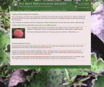 Bayareamushrooms.org(The Bay Area Mycological Society) Screenshot