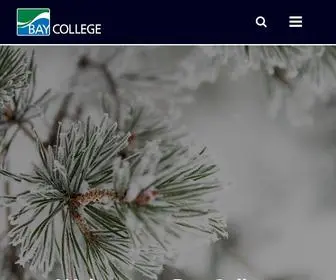 Baycollege.edu(Bay College) Screenshot