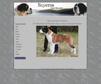 Bayeros.com(Bayeros) Screenshot