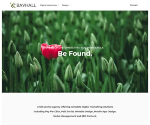 Bayhall.co.uk(Web Design And Pay Per Click Google Ads Agency) Screenshot