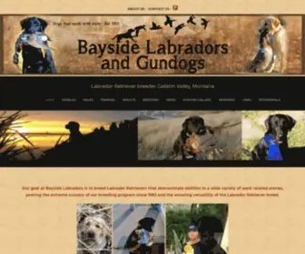 Baysidelabs.com(Labrador Retriever breeder Gallatin Valley) Screenshot