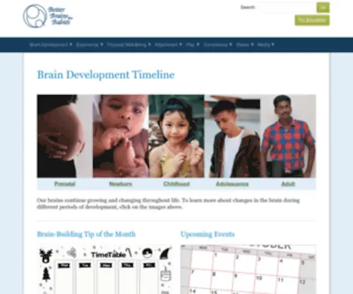 BBBgeorgia.org(Better Brains for Babies) Screenshot
