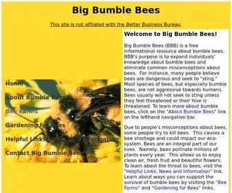 BBB.us(Big Bumble Bees) Screenshot