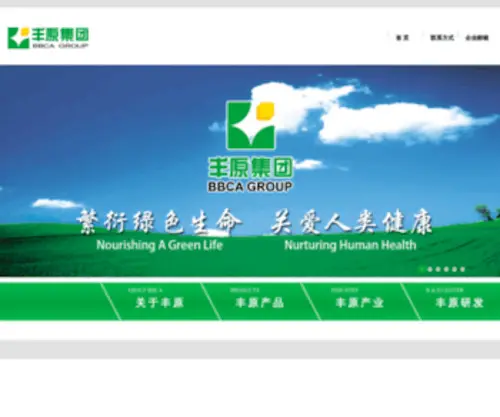 BBcagroup.com(丰原集团) Screenshot