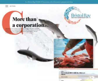 BBNC.com(Bristol Bay Native Corporation) Screenshot