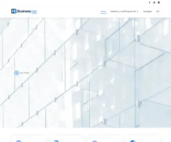 Bcareconsulting.com(Business Care) Screenshot