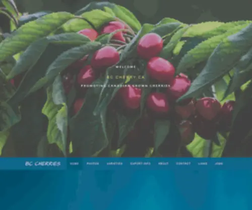 BCcherry.ca(BC CHERRIES) Screenshot