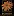 Bconceptnetwork.tv Favicon