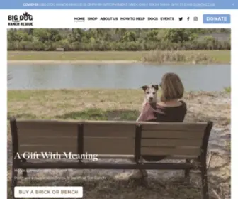 BDRR.org(Big Dog Ranch Rescue) Screenshot