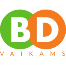 Bdvaikams.lt Favicon