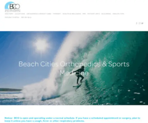 Beachcitiesortho.com(Beach Cities Orthopedics & Sports Medicine) Screenshot