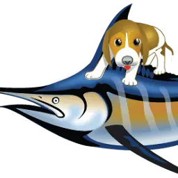 Beaglecharters.com Favicon