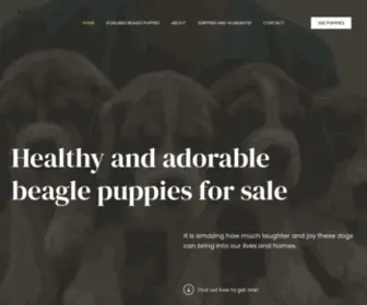 Beaglehaven.com(Adorable Beagles For Sale) Screenshot