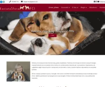 Beagle.net.pl(Hodowla Beagle) Screenshot