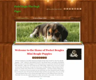 Beaglespocket.com(Pocket Beagles Mini Beagle Puppies) Screenshot