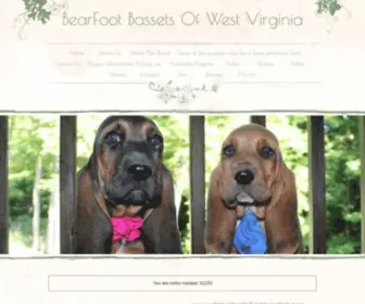 Bearfootbassetsofwv.com(BASSET HOUNDS IN WEST VIRGINIA) Screenshot