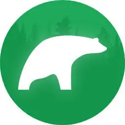 Bearlogics.ru Logo