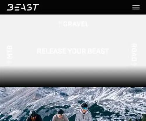 Beast-Components.de(Beast Components) Screenshot