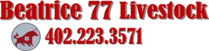 Beatrice77.com Logo