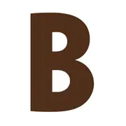 Beaumont-Amsterdam.com Favicon