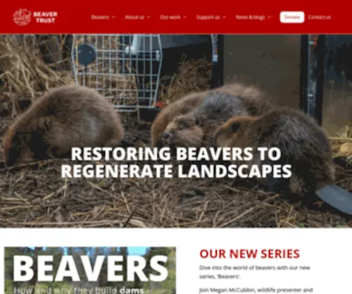 Beavertrust.org(Beaver Trust) Screenshot