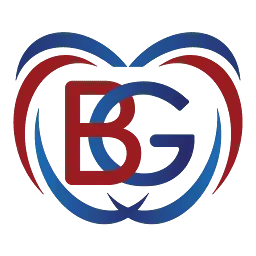 Bebegogo.com Favicon