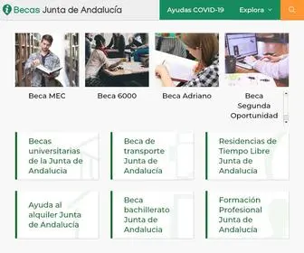 Becasjuntadeandalucia.com(Todas las BECAS y AYUDAS de la Junta de Andalucía de este para estudiantes y ciudadanos) Screenshot