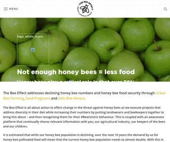 Bee-Effect.co.za(The Bee Effect) Screenshot