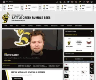 Beehockey.com(BeHockey) Screenshot