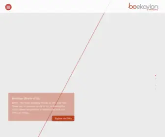 Beekaylon.com(Textile Company) Screenshot