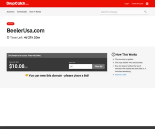 Beelerusa.com(Advertising) Screenshot