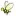 Beenet.com Favicon