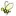 Bee.net Favicon