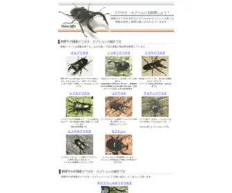 Beetle-Breeding.com(クワガタ) Screenshot