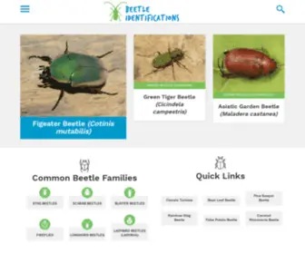 Beetleidentifications.com(Beetle Identifications) Screenshot