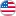 Begi-V-USA.ru Favicon