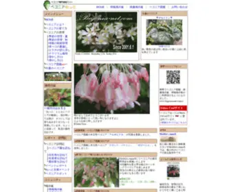 Begonia-Net.com(ベゴニア) Screenshot