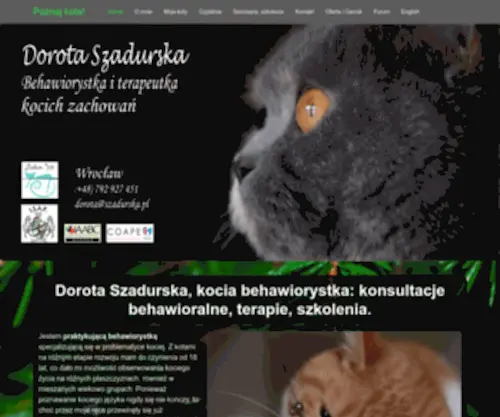 Behawiorysta-Koci.pl(Koty Brytyjskie Agilis Cattus*PL) Screenshot