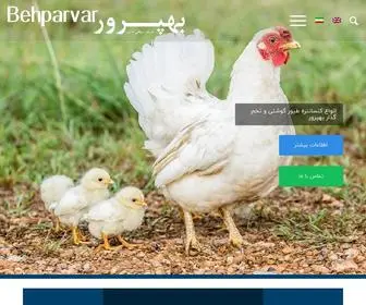 Behparvarco.com(شرکت بهپرور) Screenshot