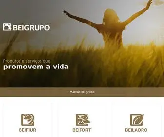 Beigrupo.com(Beifiur) Screenshot