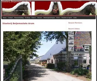 Beijemastate.nl(Pensionstal Stoeterij Beijemastate paardenstalling Manege Arum) Screenshot