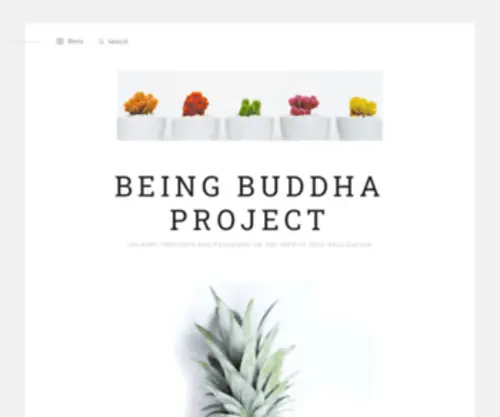 Beingbuddhaproject.com(Sharing thoughts and teachings on the path of self) Screenshot