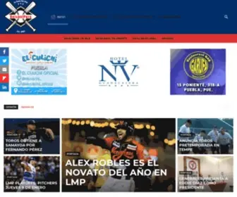 Beisbolpuro.com(La Casa del Rey) Screenshot
