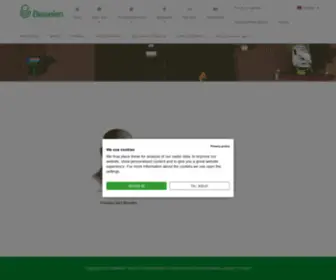 Beiselen.com(About Beiselen) Screenshot